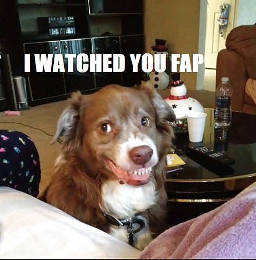 Divertido
 #10313826