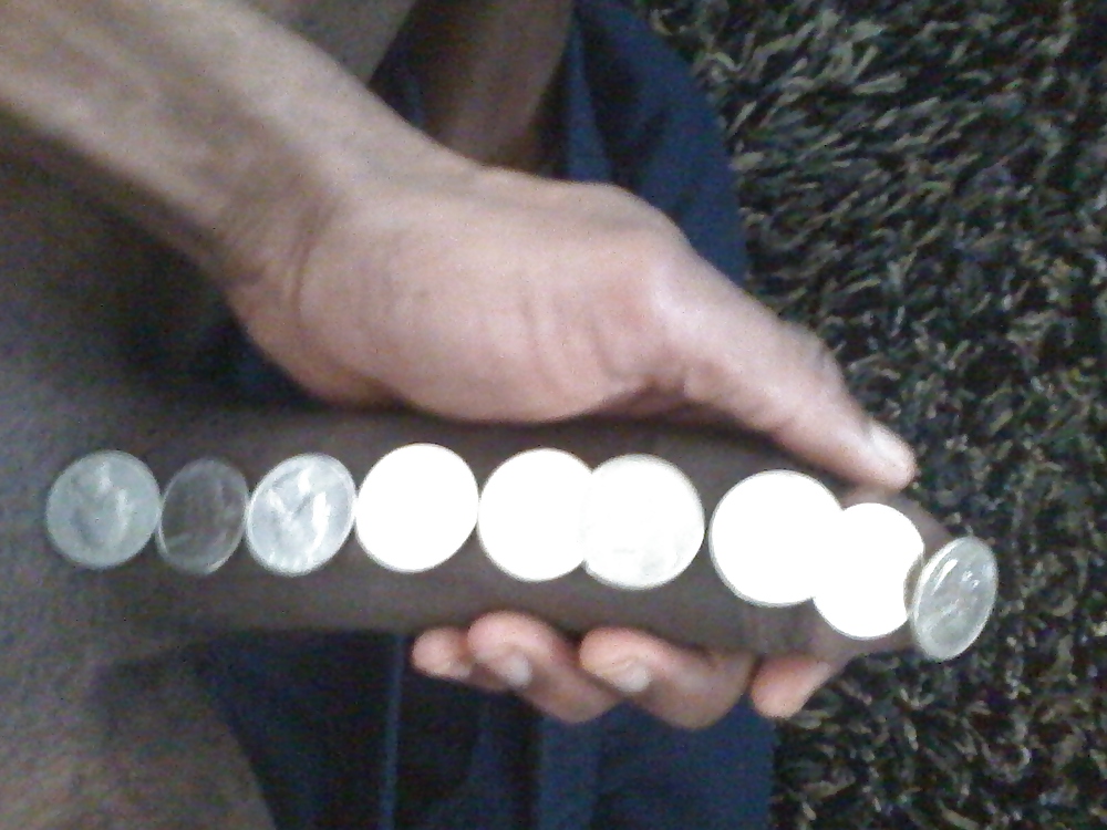 Kottin's kock 
 #12907306