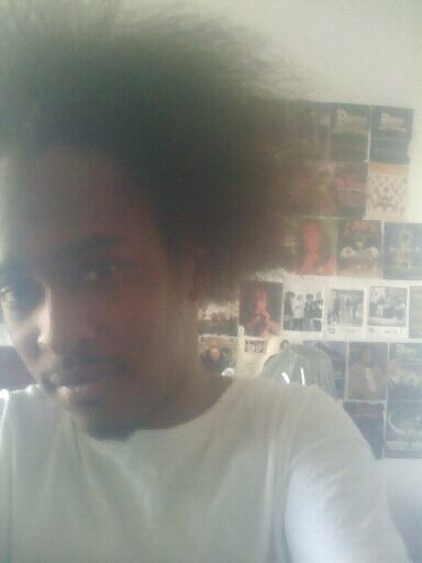 SICHERN Die Bilder #619975