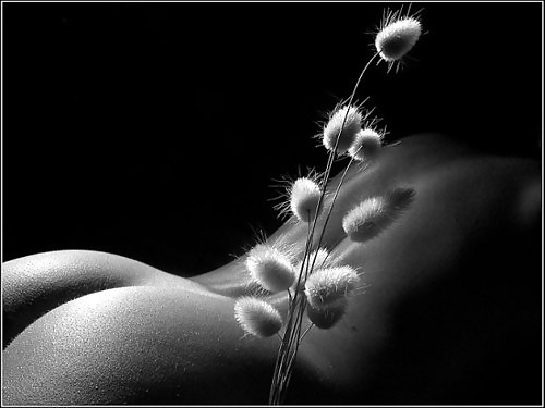 Flowers! #9951296