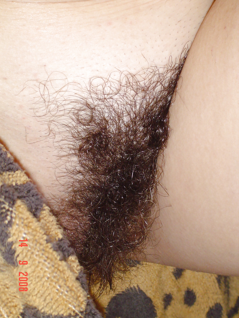 Hairy mature  #3942962