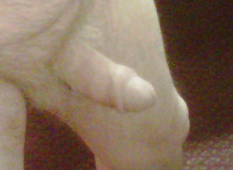 ぶらぶらするだけ
 #8194950