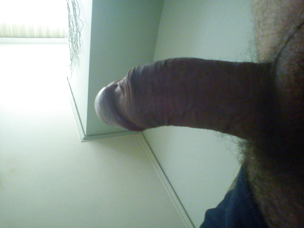My cock #4555854