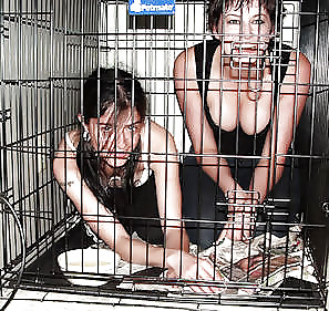PET HOUSE #9324280