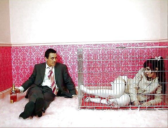 PET HOUSE #9324305