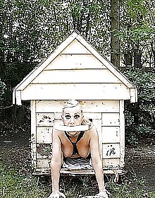 PET HOUSE #9324386