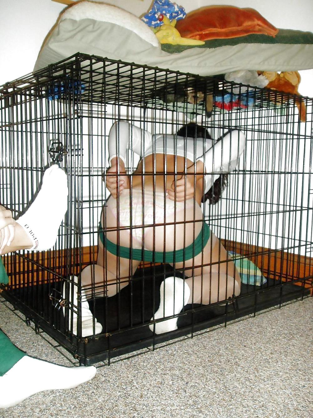 PET HOUSE #9324399