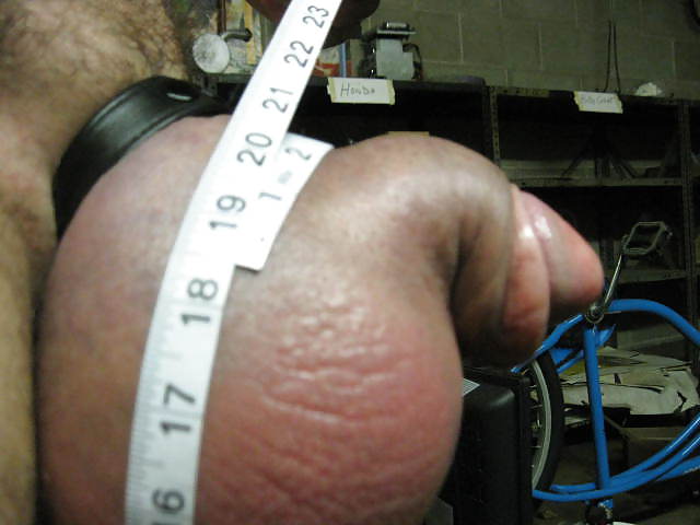 EIGHTEEN AND A HALF INCHES