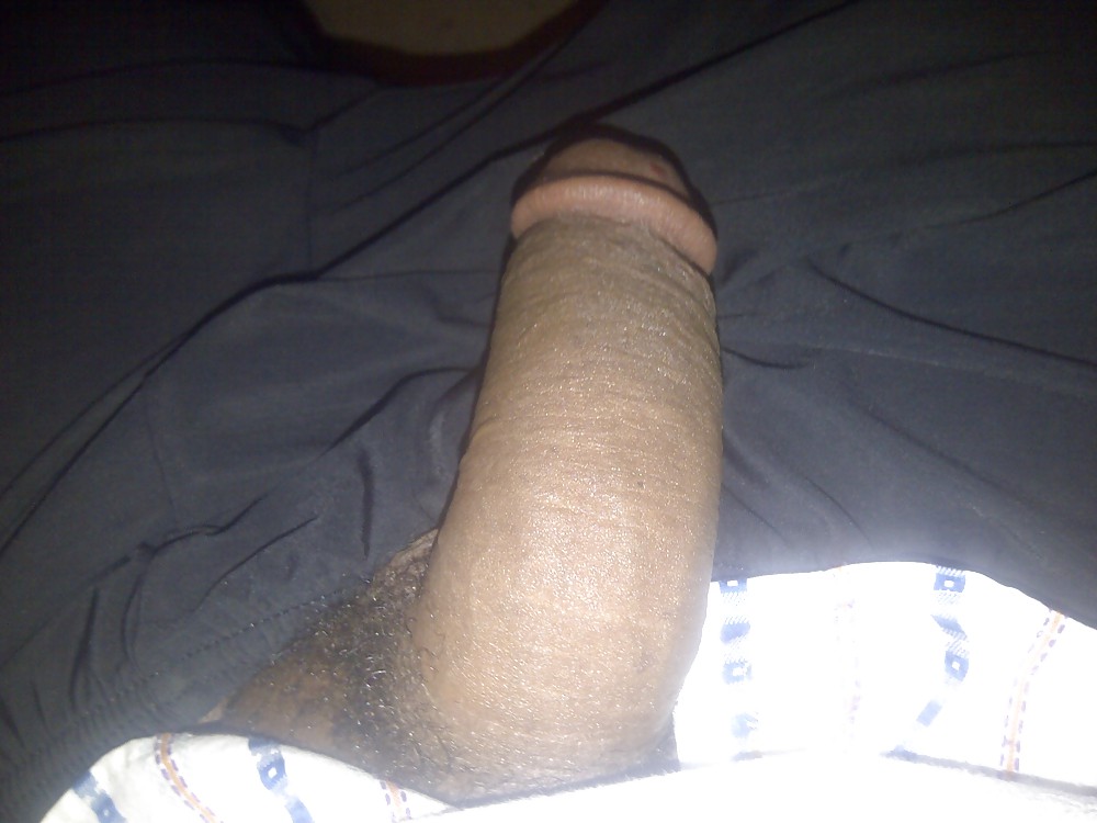 My BBC #7294055