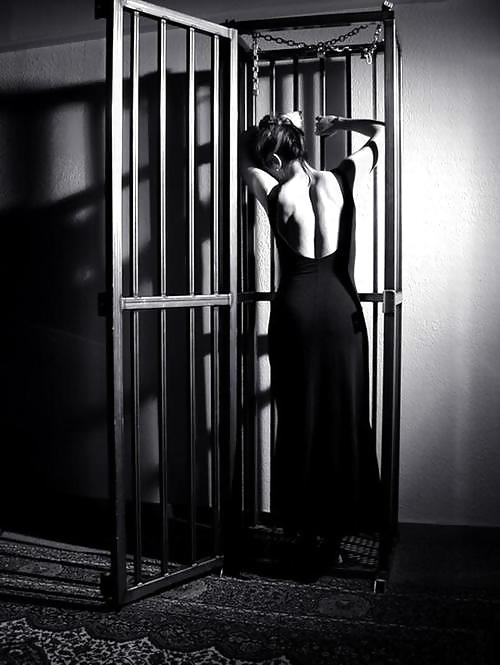 Cage 3! #9615265