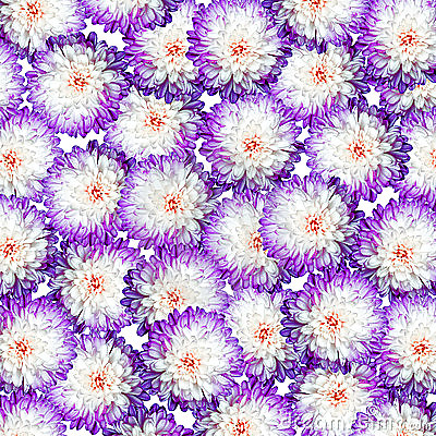 Made for friend 2 #16719056