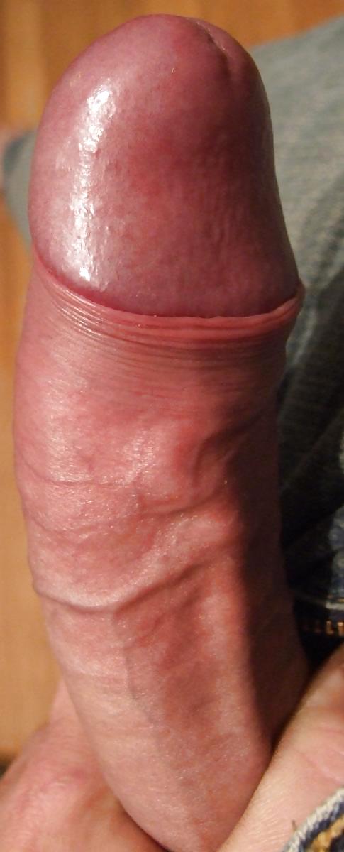 My cock #3684635