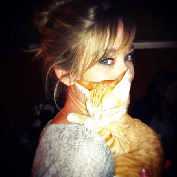 もっと見る :d
 #14764931