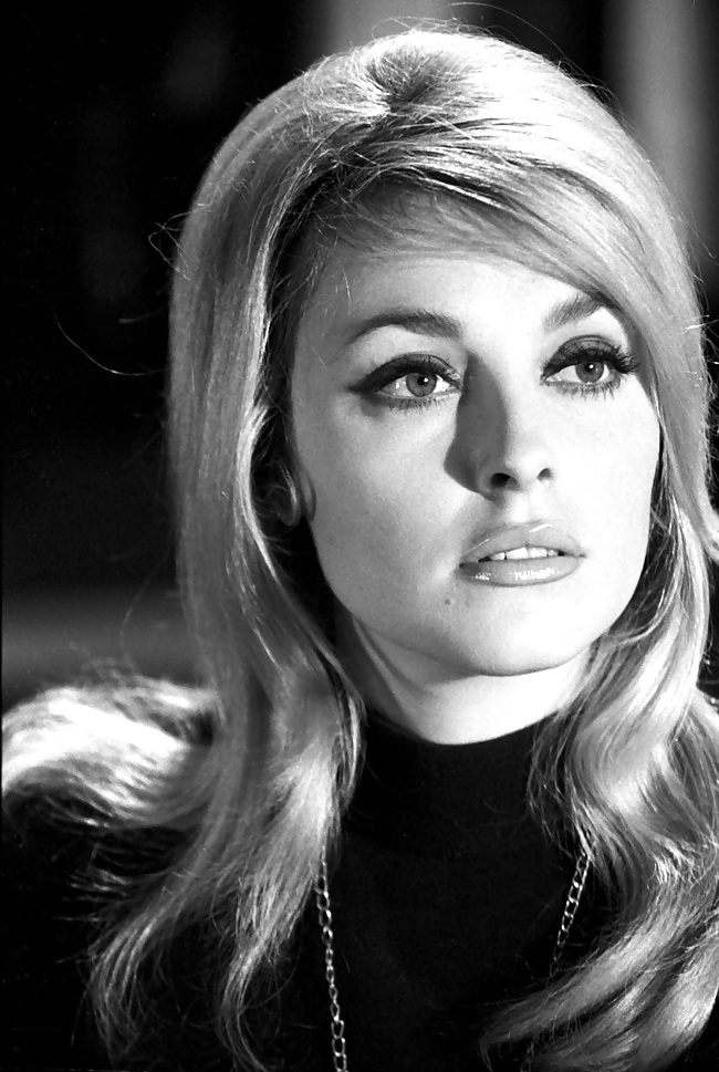 Sharon tate (hq)
 #12997212