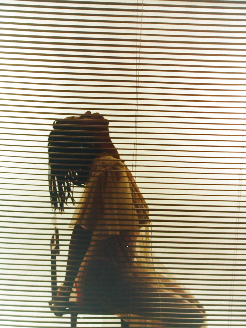 白いローブのBobbi
 #20833349