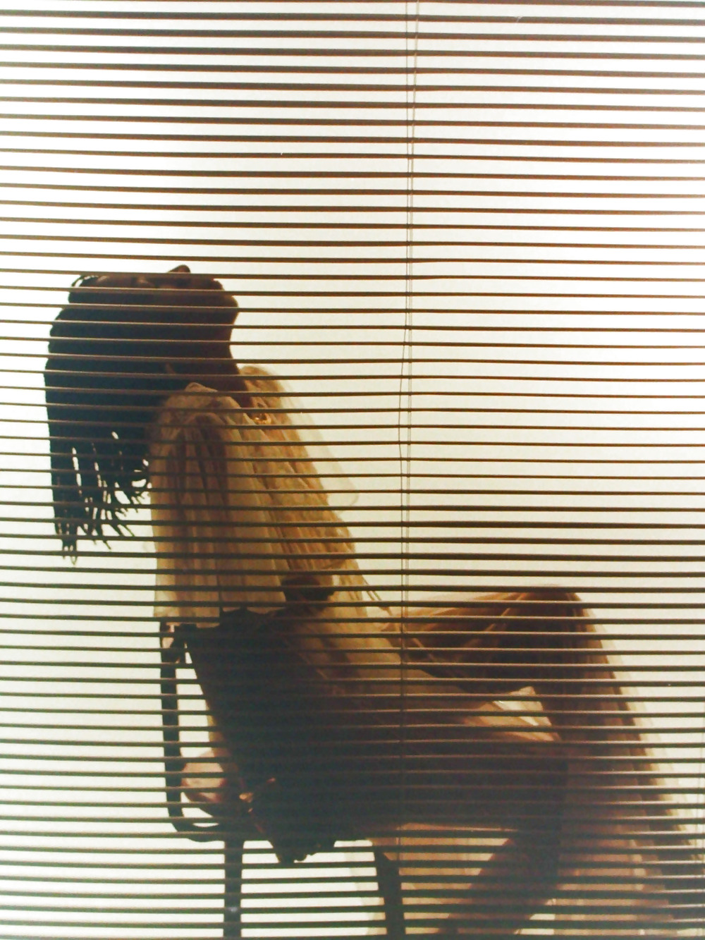 白いローブのBobbi
 #20833360