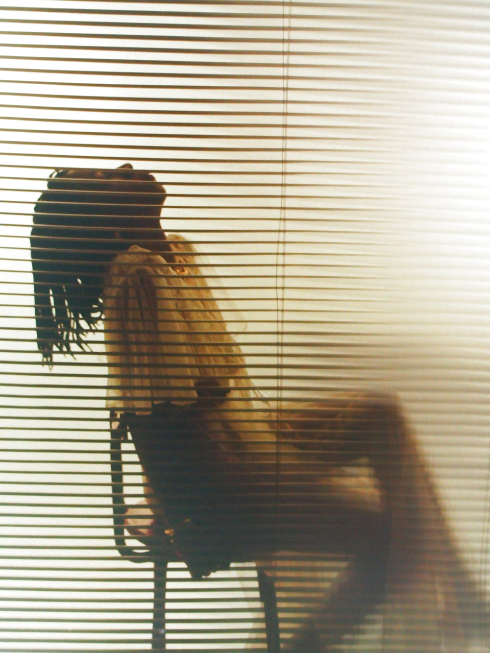 白いローブのBobbi
 #20833368