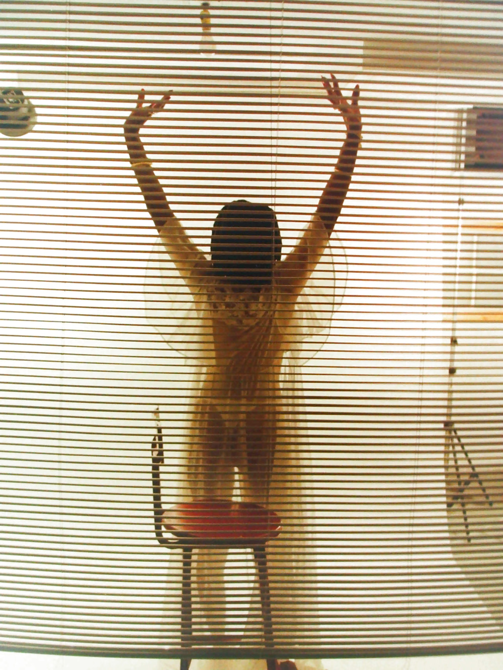 白いローブのBobbi
 #20833388