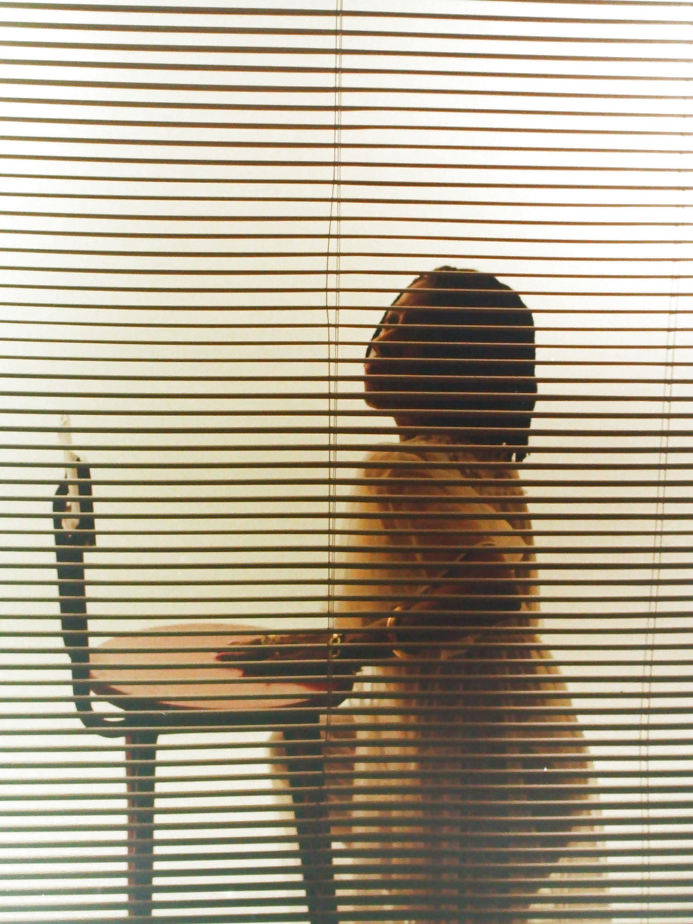 白いローブのBobbi
 #20833405