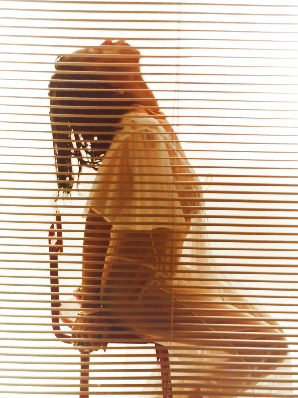 白いローブのBobbi
 #20833516