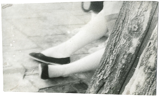 M. tichy by jedman
 #18457406