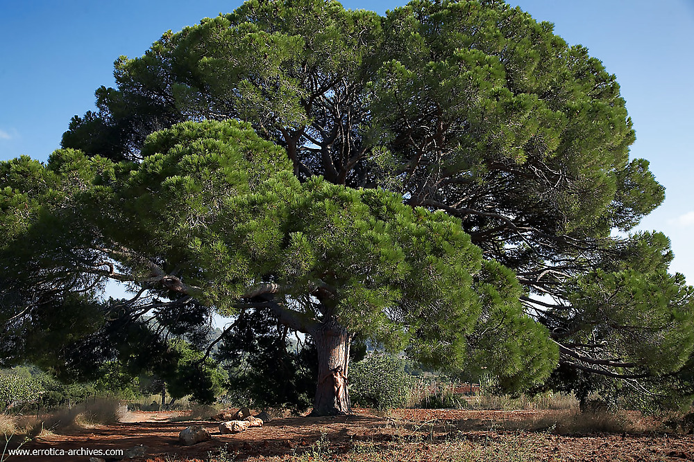 Joven en el árbol
 #1036906