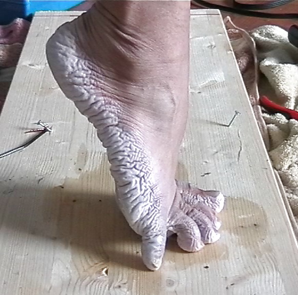 Wet Pruned Feet fetish #3911822