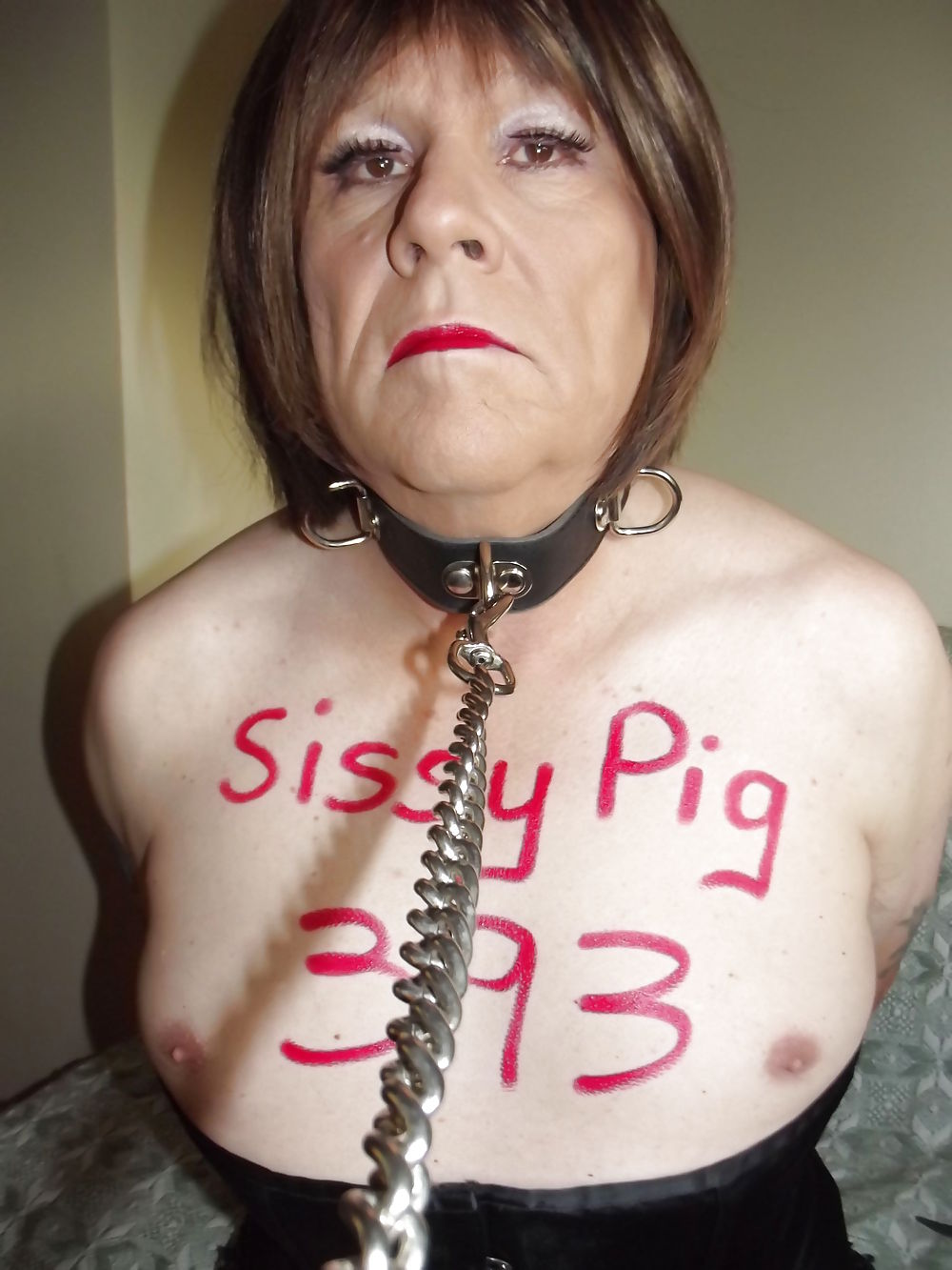 Amandacarms sissy pig #18260998