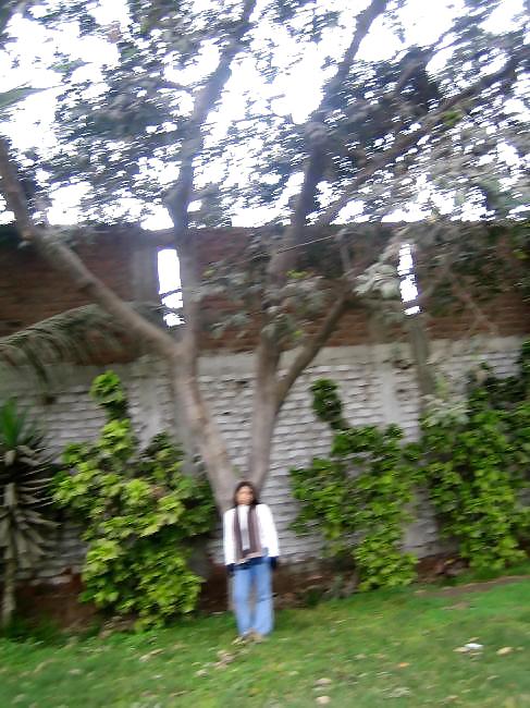 フェイスブック nimia leon torres
 #17526646