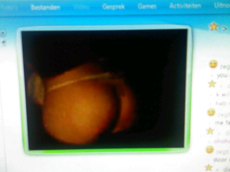 Webcam #11253208