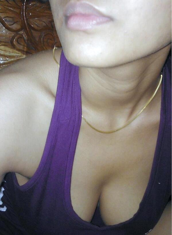 Net Sultaninen Jasmin #21286475