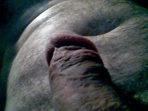 My pics #4354264