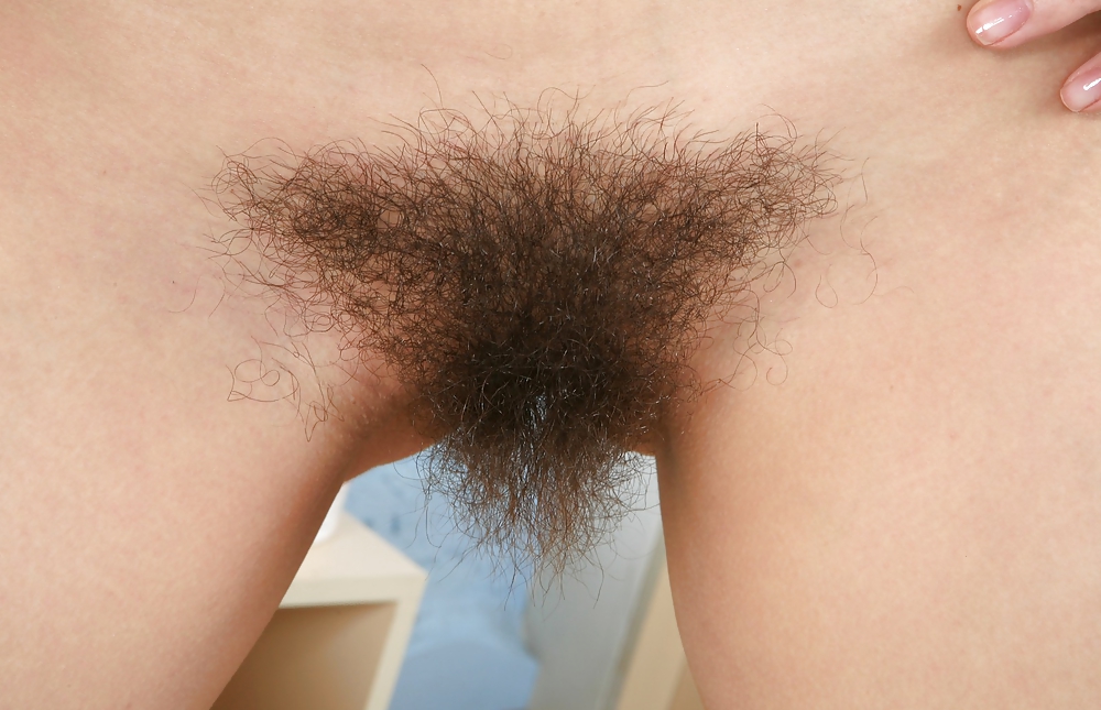 Arbusto de coño naturalmente salvaje
 #16339853