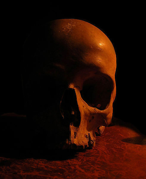 Skull! #11016648