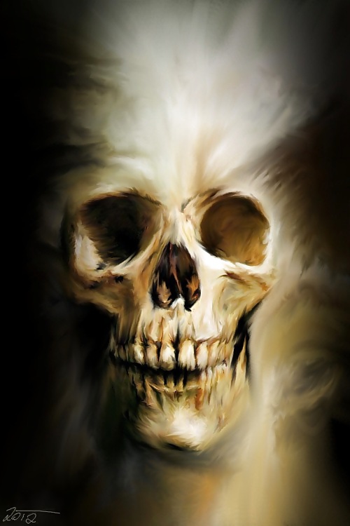 Skull! #11016727