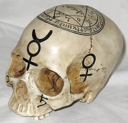 Skull! #11016764