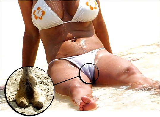 Camel Toes #6362480