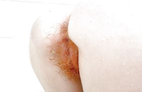 Redheads 2