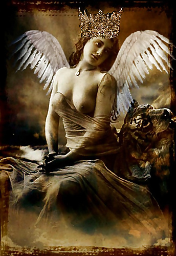 Animated Angel 1!