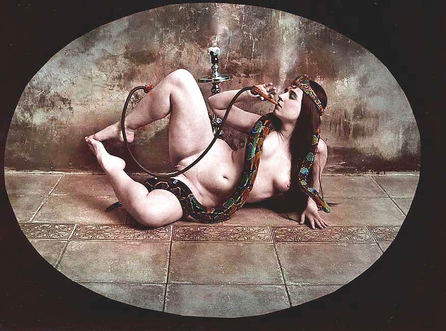 Saudek
 #5918908