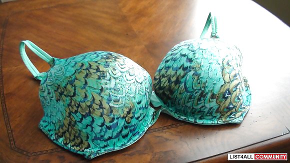 Weak bras, fragment 2 #10014822