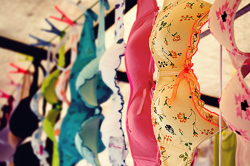 Weak bras, fragment 2 #10014840