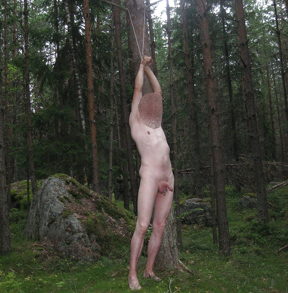 Me in nature and in the woods #12996957