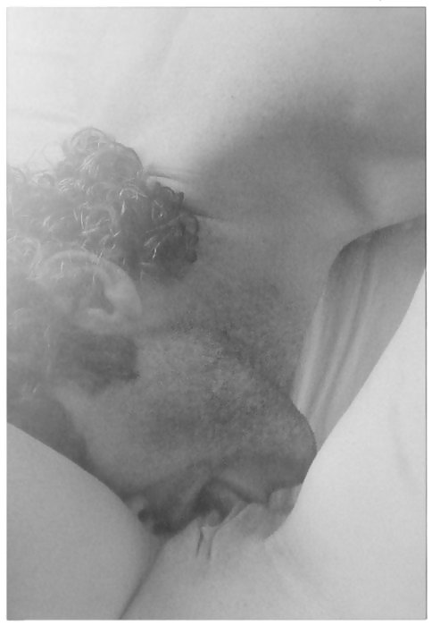 Pour elle 54
 #8328547