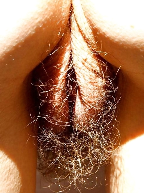 Anyone for some hairy pussy?? #1282763