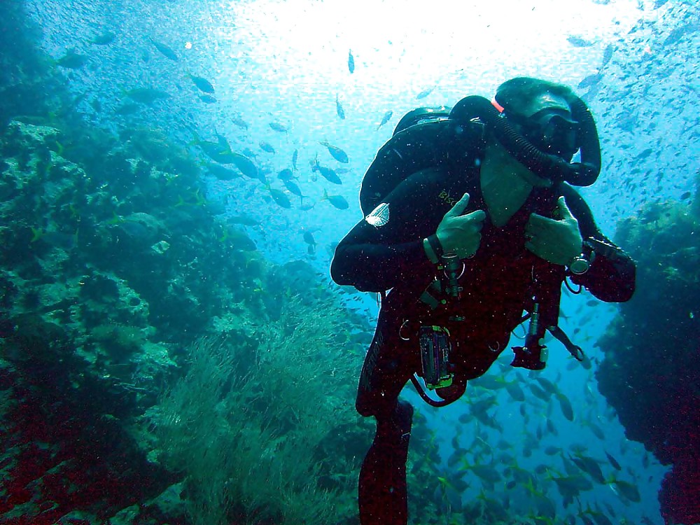 Scuba Diving #6816666
