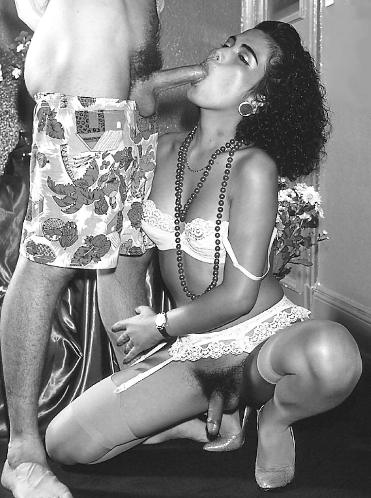 Shemales de la vendimia
 #323007