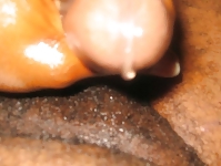 Some more from me #3170408