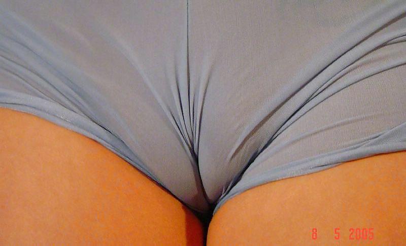 Camel Toes 2 #12347620
