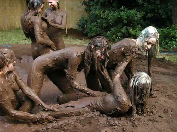 Mud #1624614